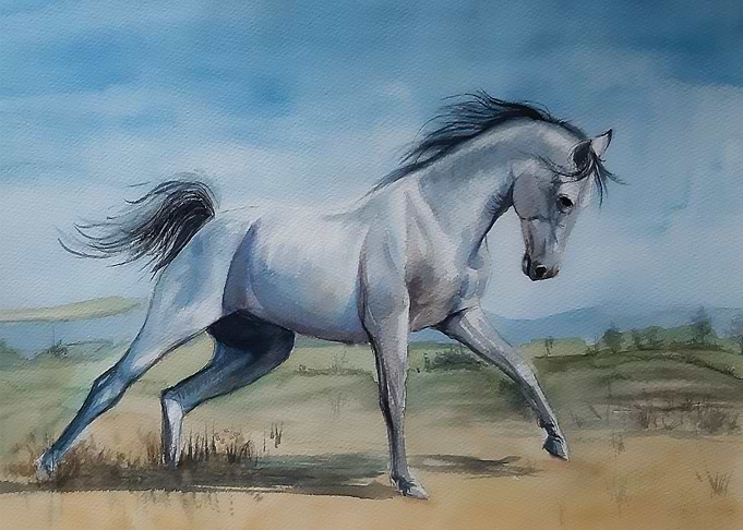 Horse