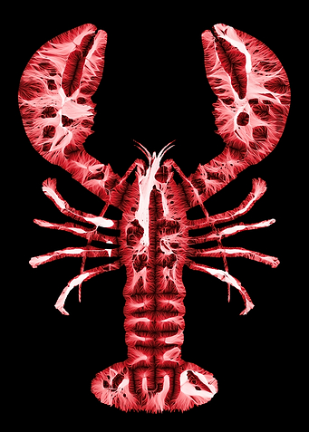Lobster