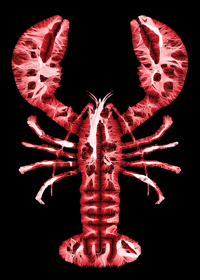 Lobster