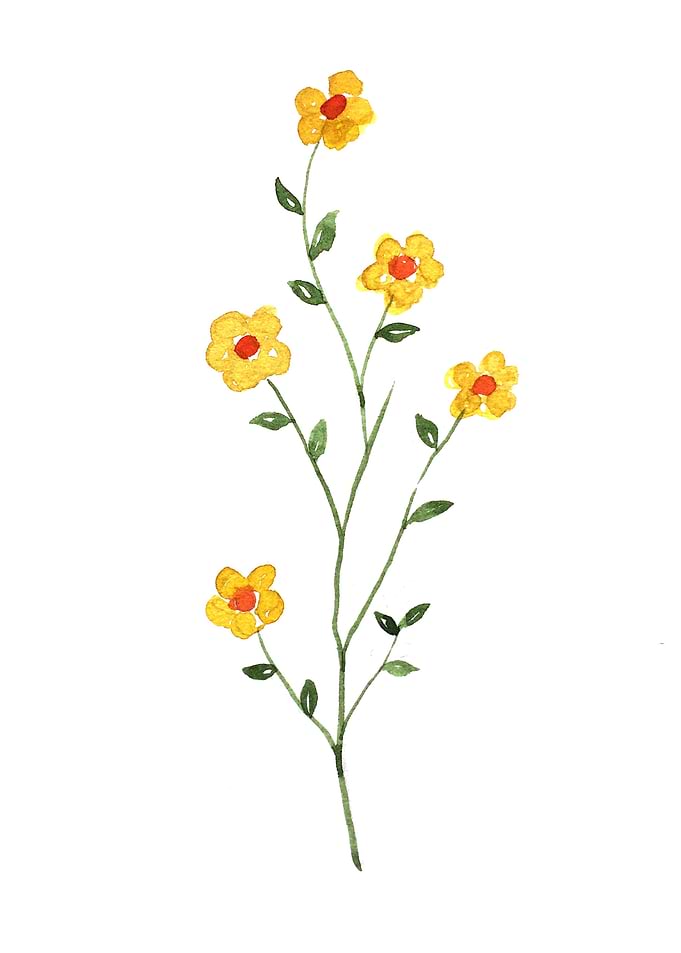 Fruit