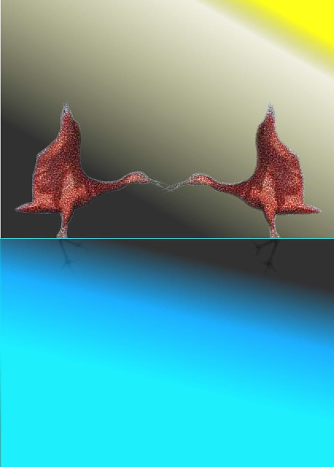 Corocoras