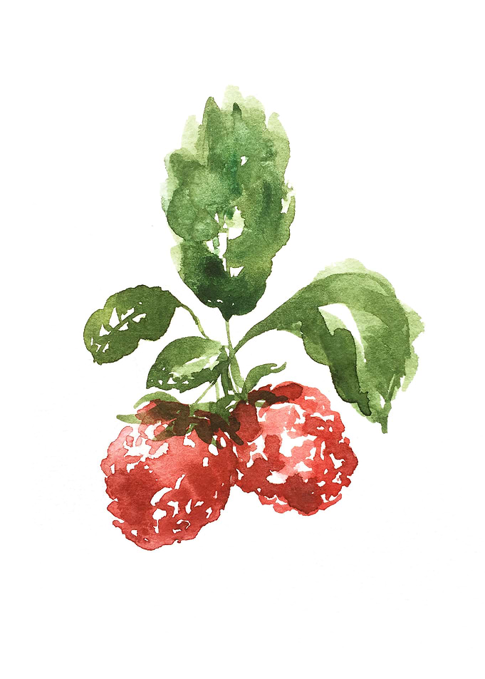 Fruit