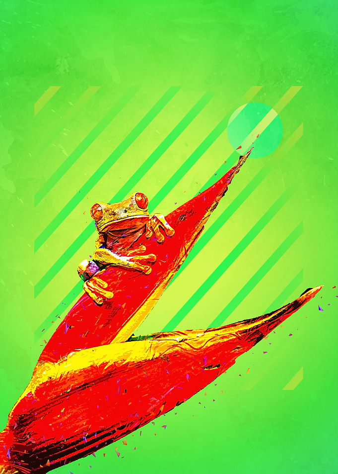 Green Frog