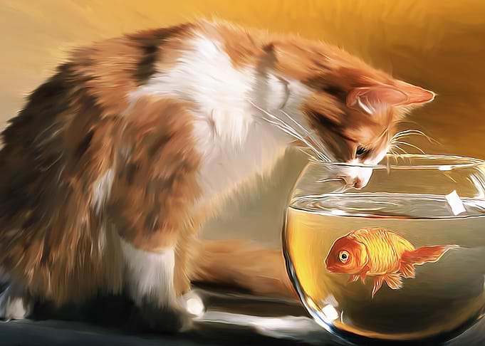 Cat and Fish