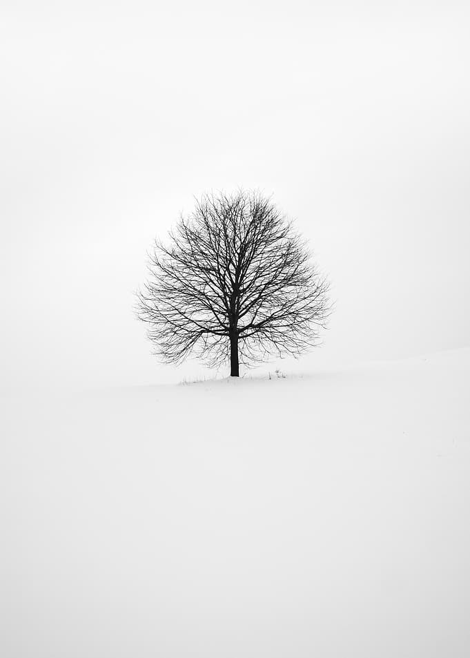 Loneliness Awaits
