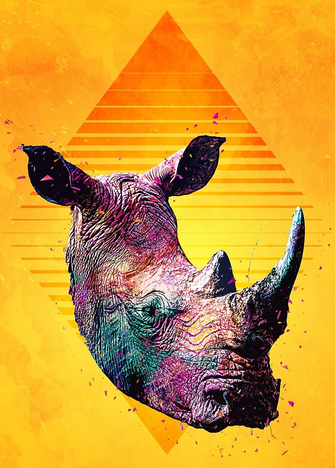 Rhinoceros