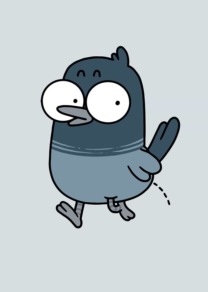 Pigeon