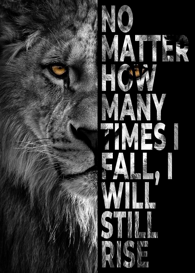 I Will Rise