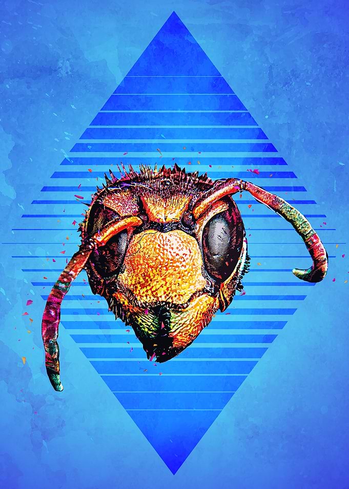 Hornet