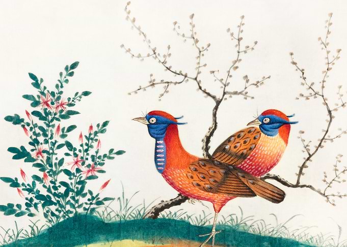 two pheasant