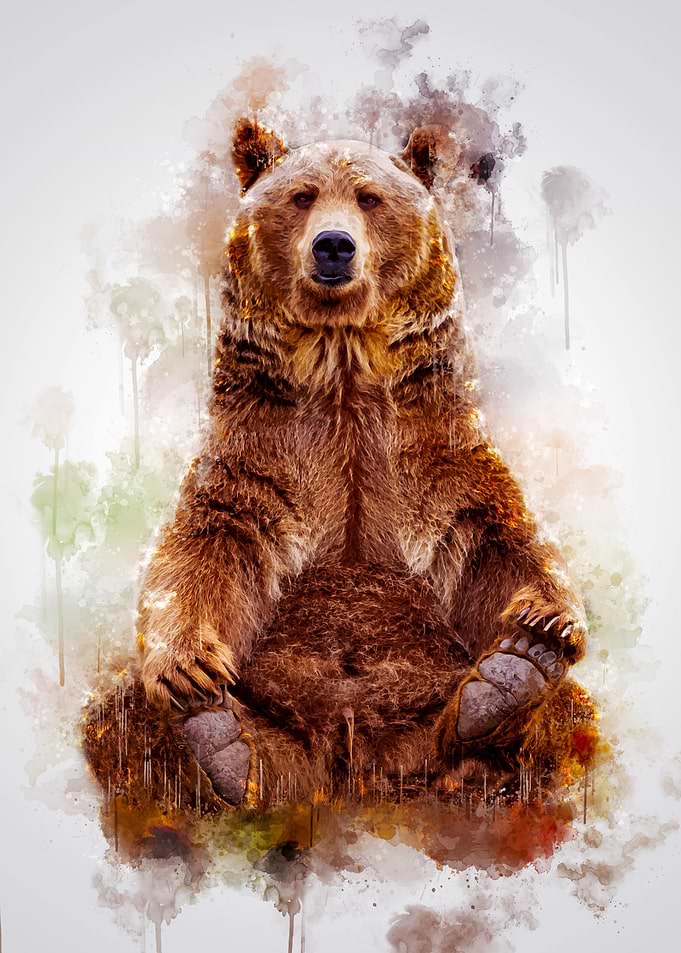 Brown Bear