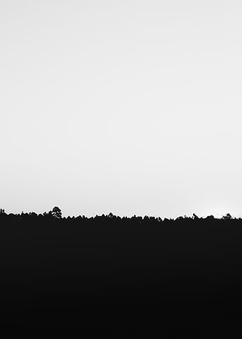 Black N White