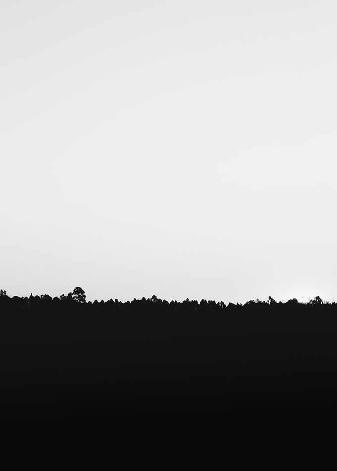 Black N White
