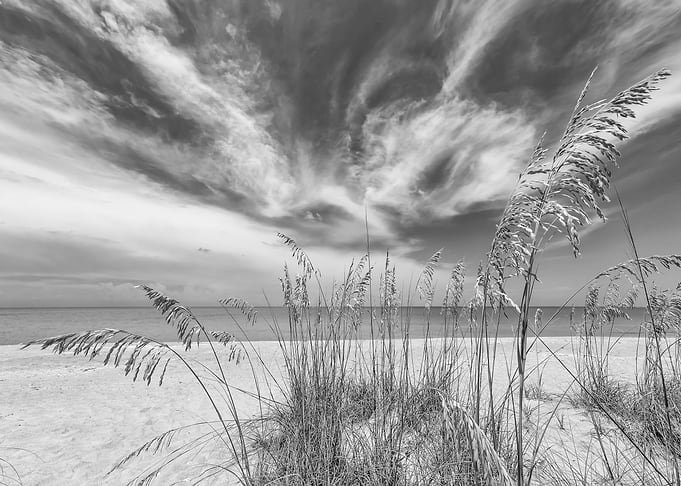 Calmness on the beach