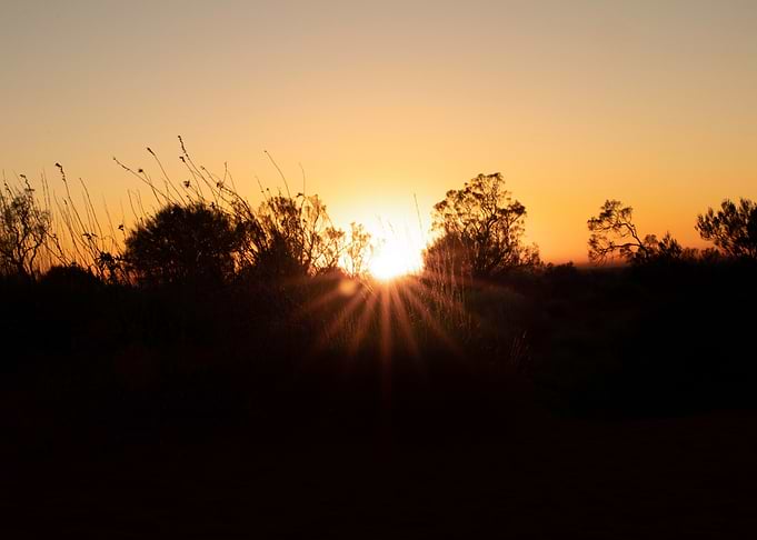 Sunrise Shadows