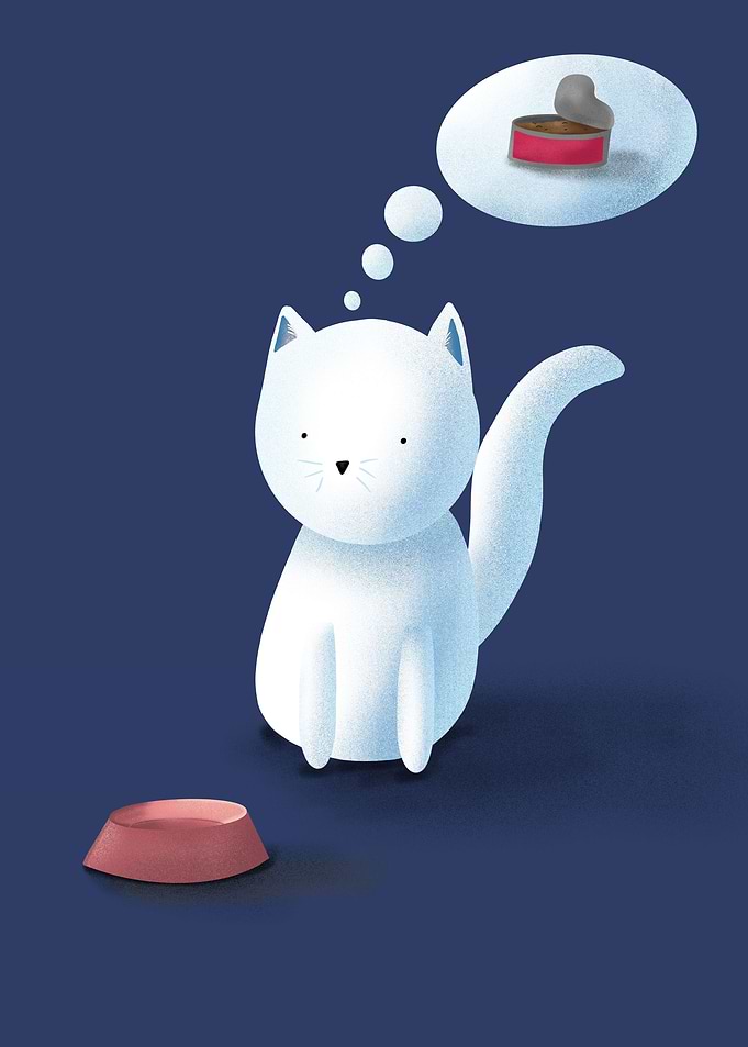 Hungry Kitty