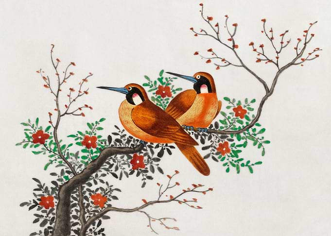 two birds