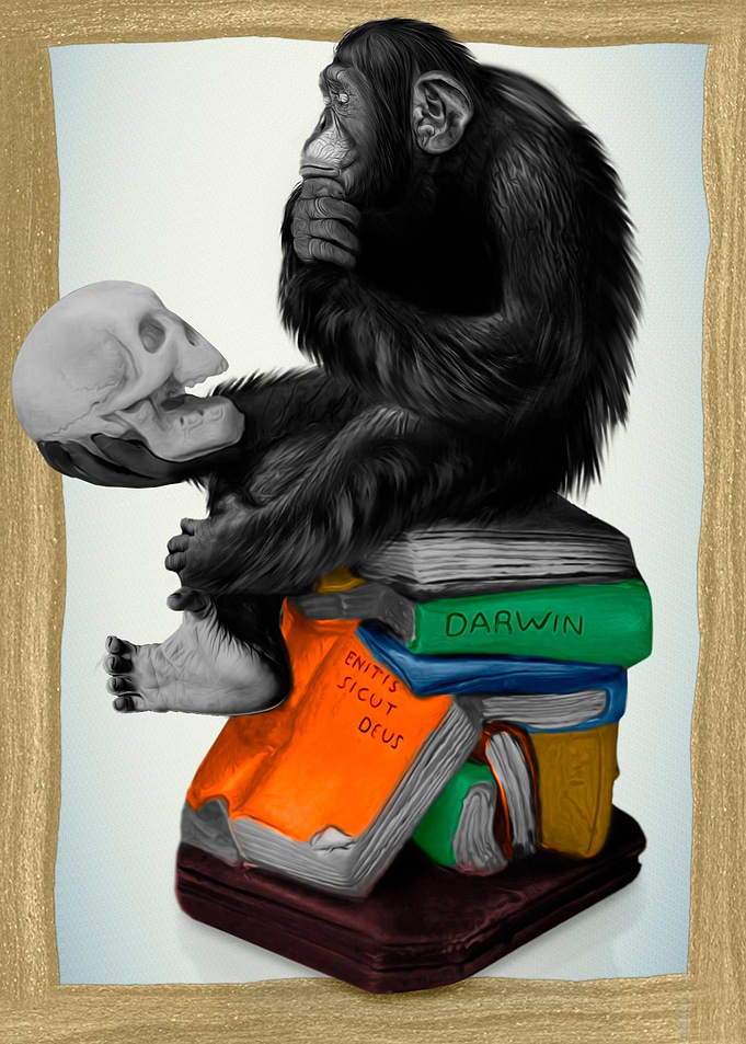 Shakespeare Monkey