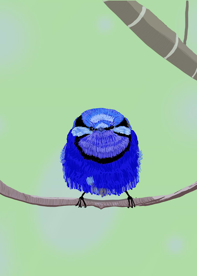 Bird