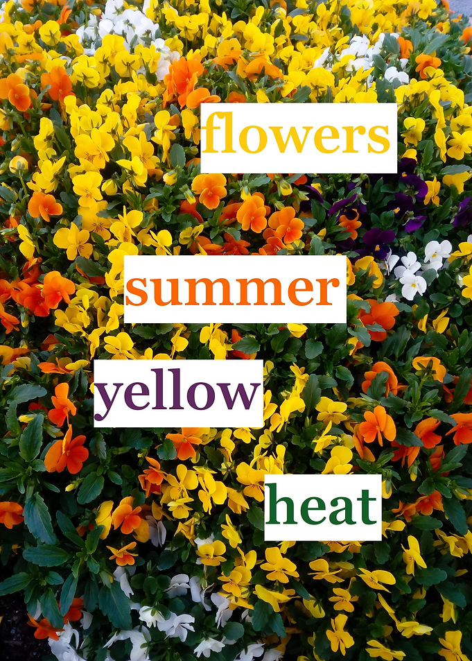 summer vibes