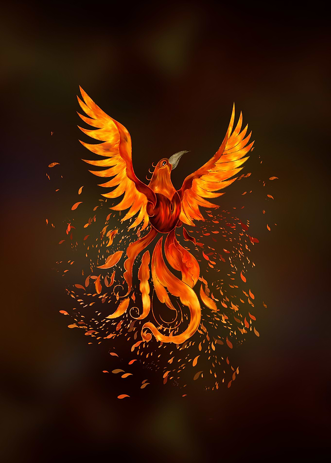 Rising Phoenix Bird