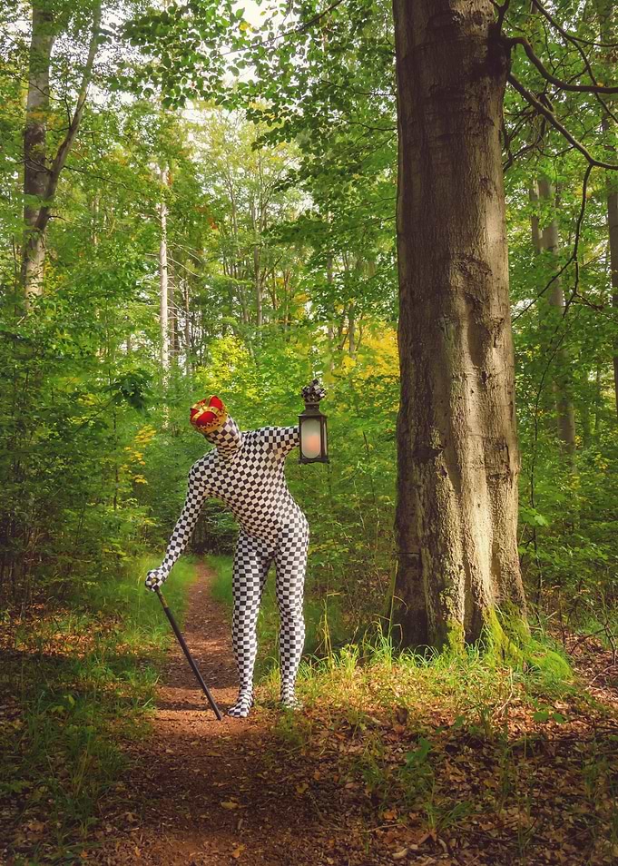 Magical Forrest
