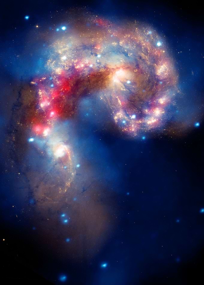 Des etoiles dans les yeux