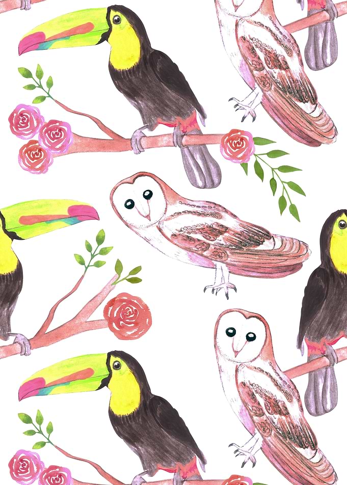 toucans barn owls flowers