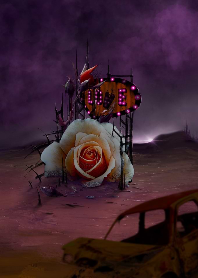 Rose of love