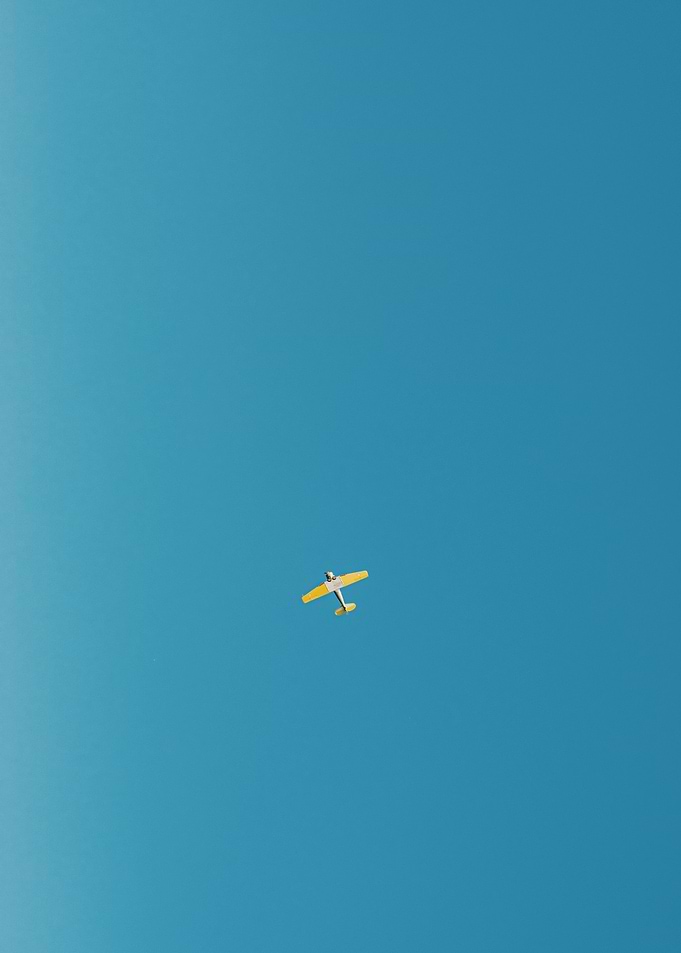 Plane In The Sky
