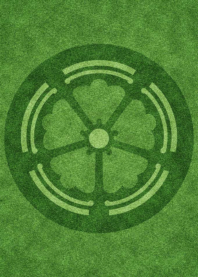 Crop circle 13