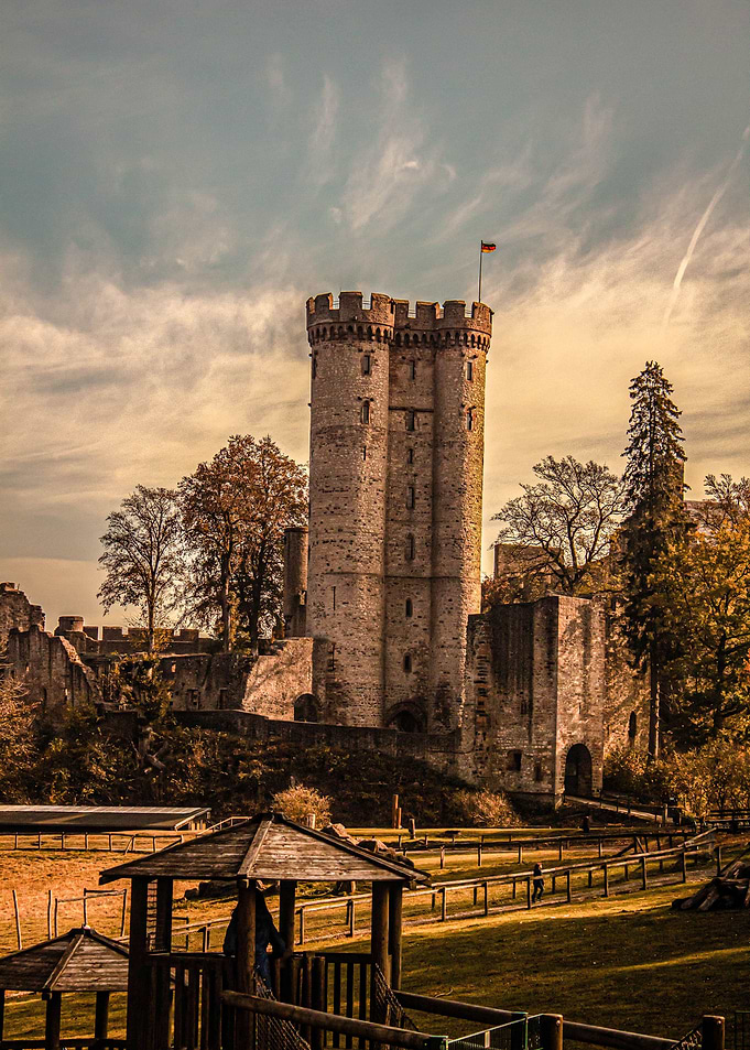 Castle in a Wolfpark