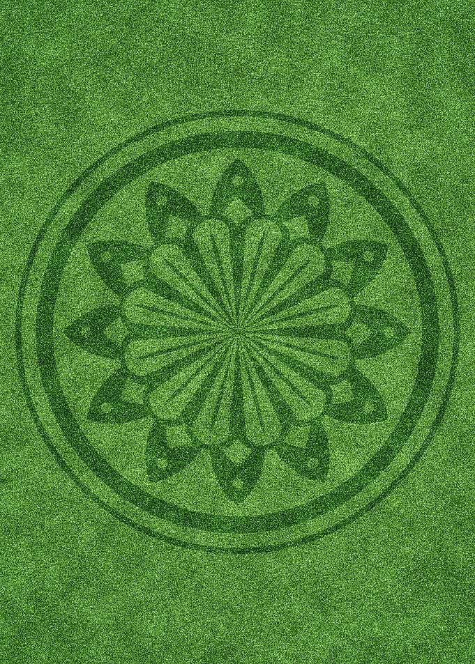Crop circle 3