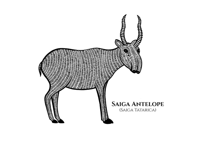Saiga Antelope with Names