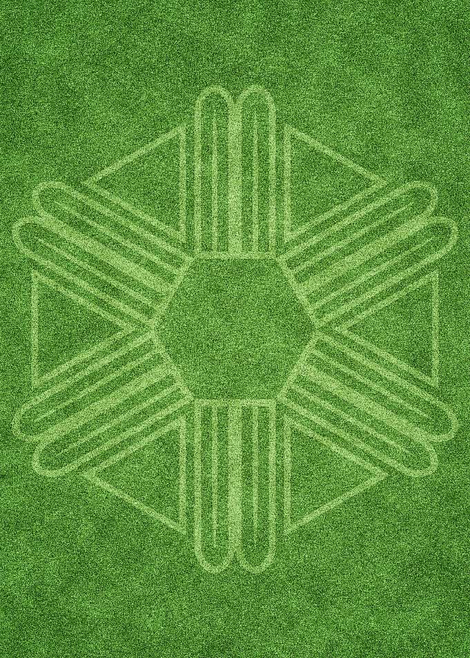 Crop circle 4
