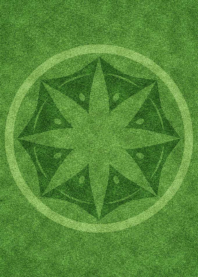 Crop circle 5