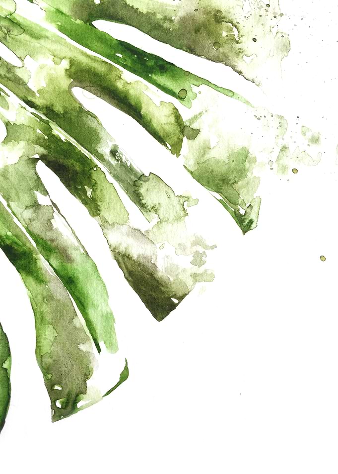 Botanical