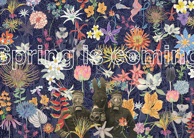 Spring is coming
