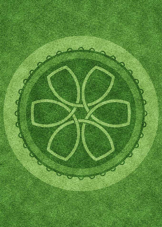 Crop circle 9
