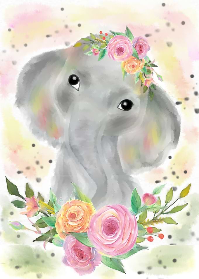 Baby Elephant