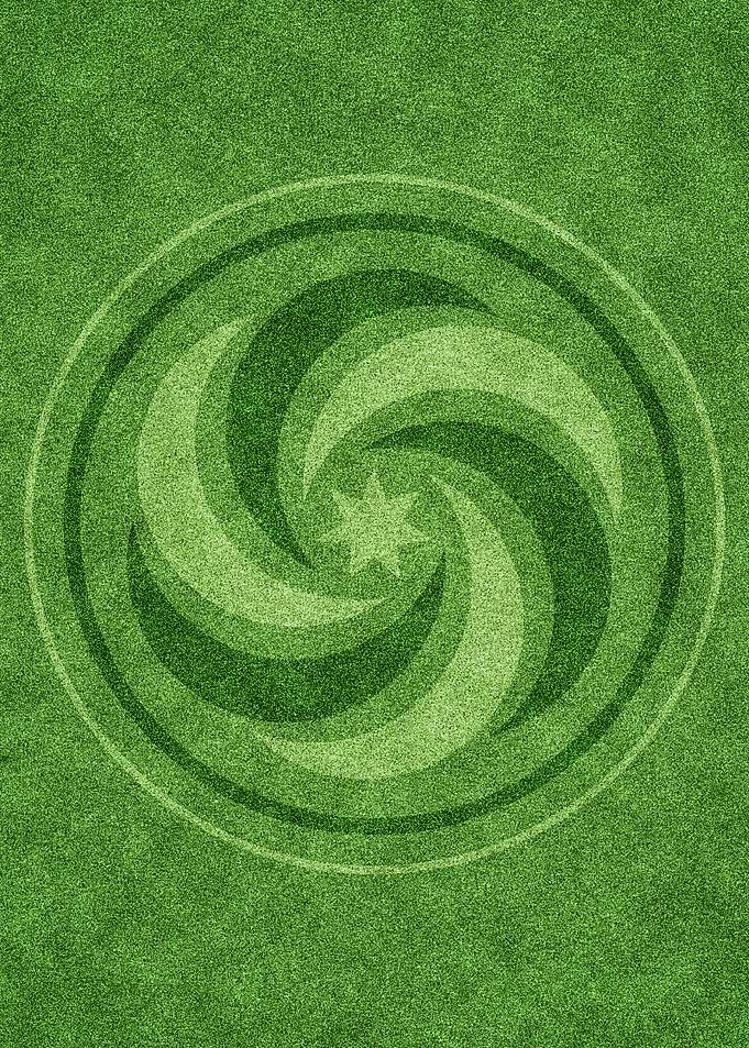 Crop circle 6