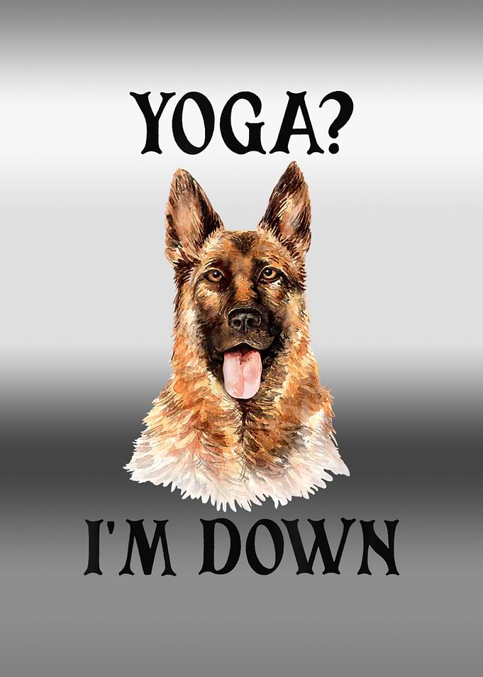 German Shepherd