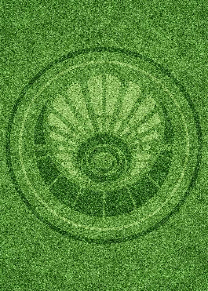 Crop circle 8