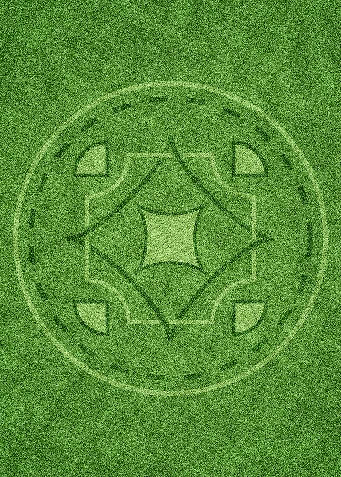 Crop circle 2