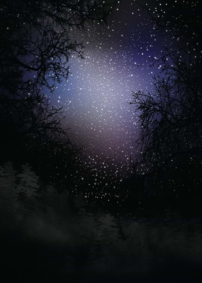 stars