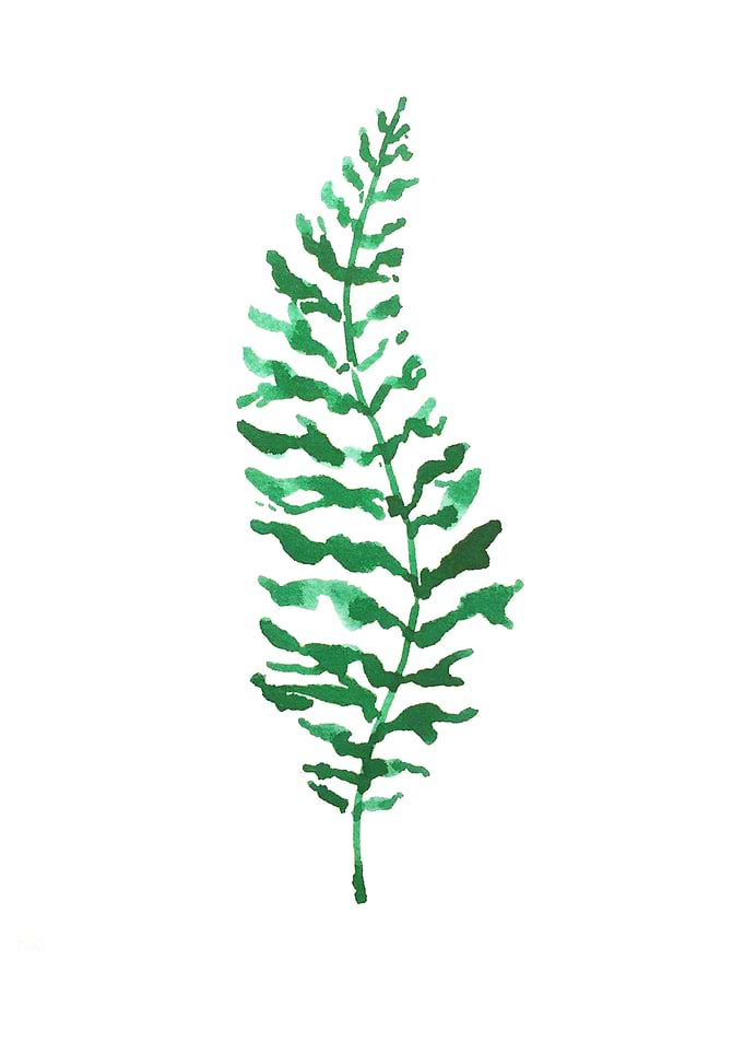 Botanical