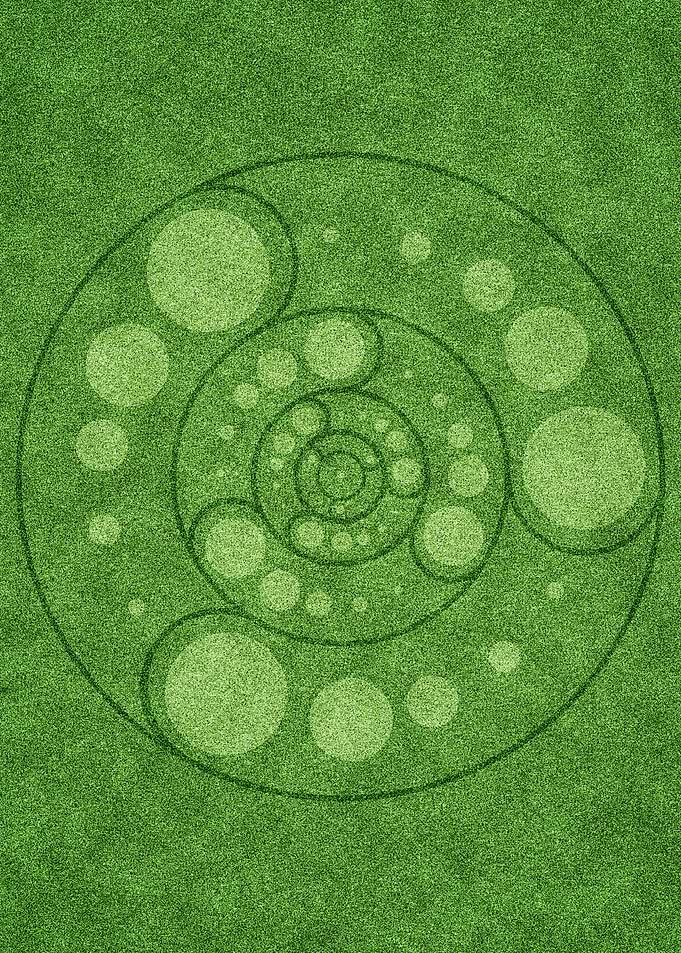 Crop circle 11