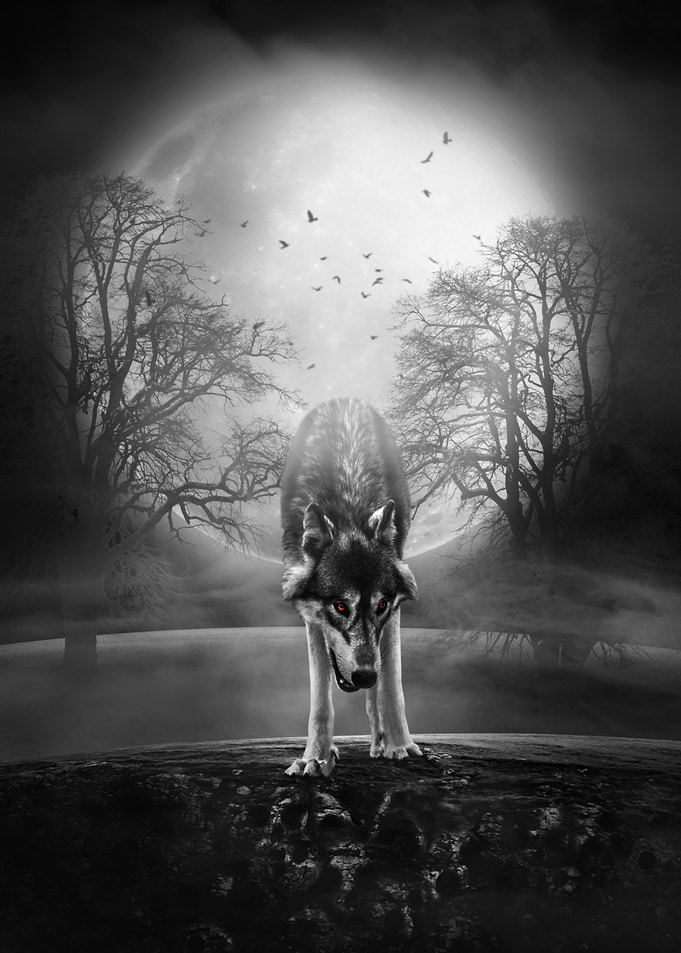 Wolfs Hour