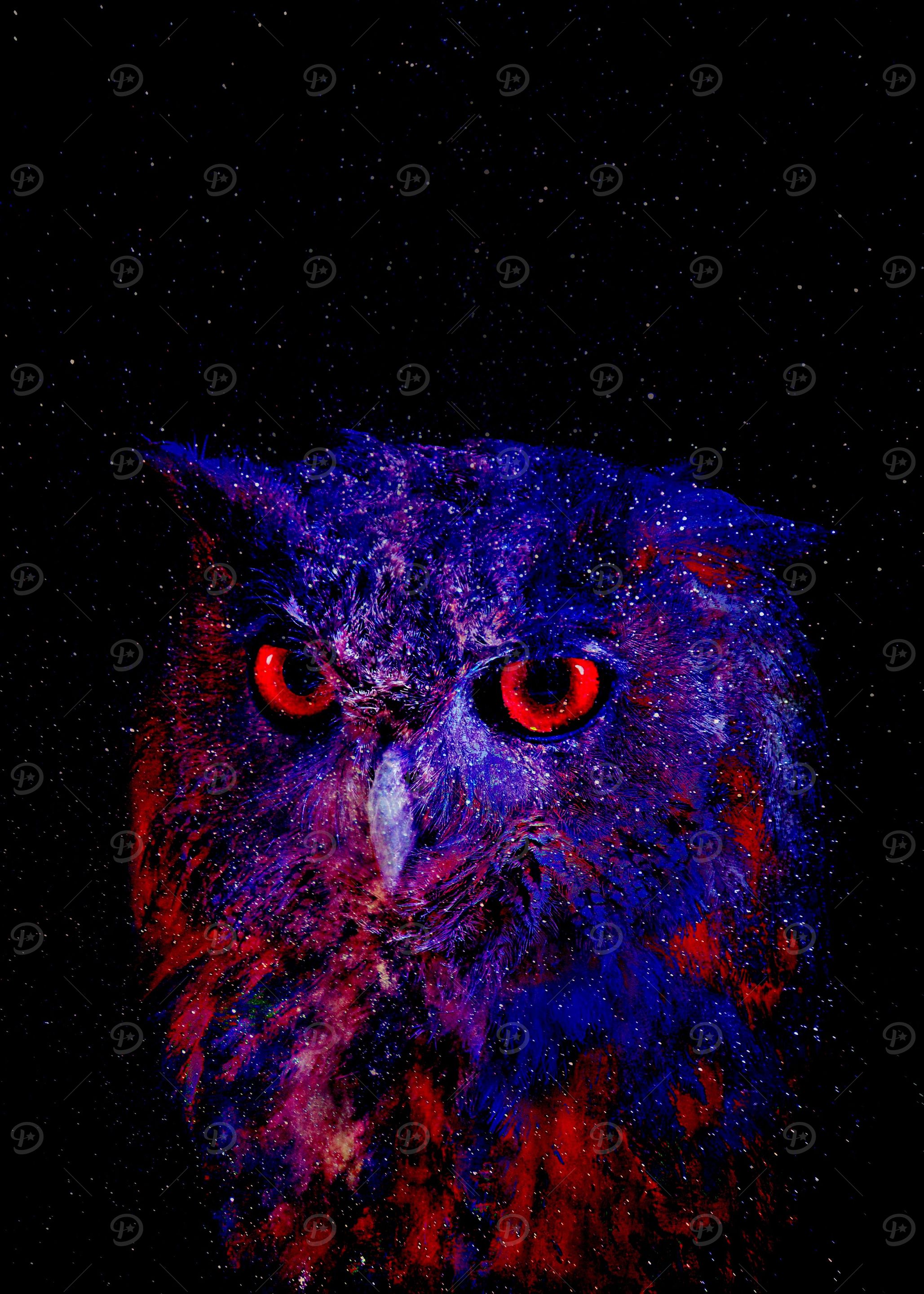 Cosmic Owl