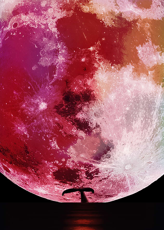 Moon with Whale Tail